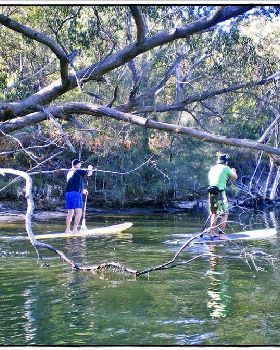 Woronora River 025