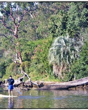 Woronora River 027