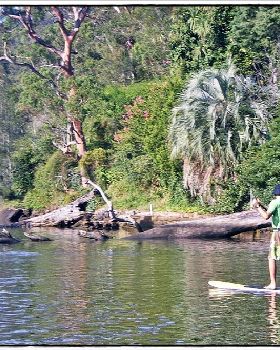 Woronora River 028