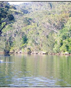 Woronora River 030