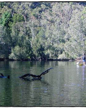 Woronora River 032