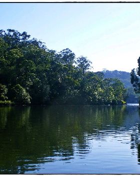 Woronora River 034