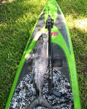 Stand Up Paddle