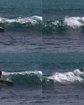 2010-01-313