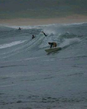 DSC01691 (Small) (2)