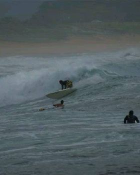 DSC01703 (Small)