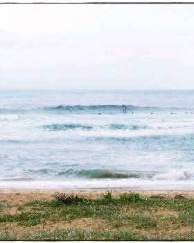 Paul Sharkies 001