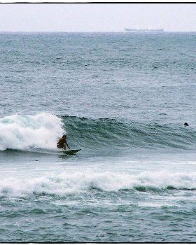 Paul Sharkies 003