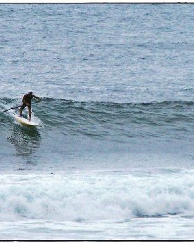 Paul Sharkies 008