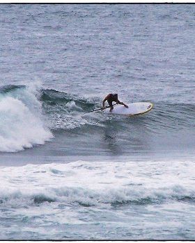 Paul Sharkies 010