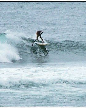 Paul Sharkies 011