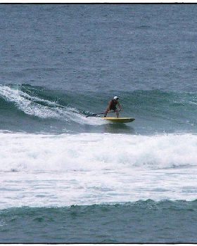 Paul Sharkies 015