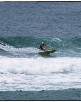 Paul Sharkies 016