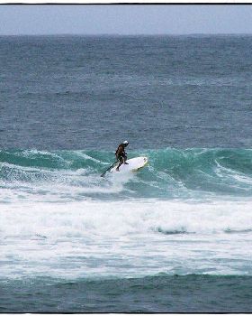 Paul Sharkies 018