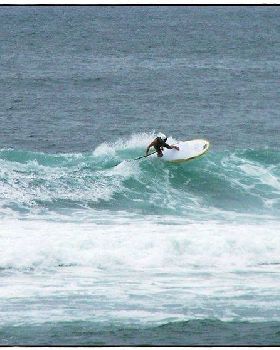 Paul Sharkies 019