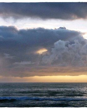 Tues Sharkies 002