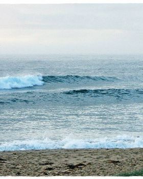 Tues Sharkies 004