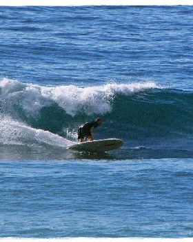 Tues Sharkies 018