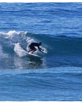 Tues Sharkies 022