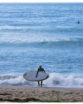 Tues Sharkies 029