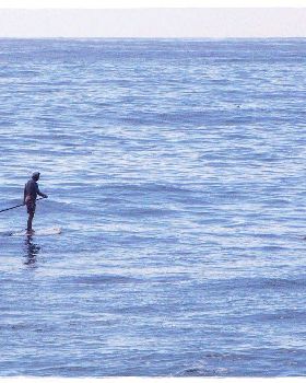 Tues Sharkies 035