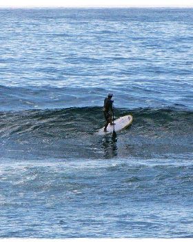Tues Sharkies 036