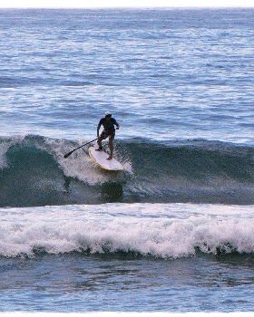 Tues Sharkies 037