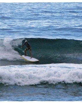 Tues Sharkies 038