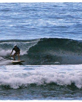 Tues Sharkies 039