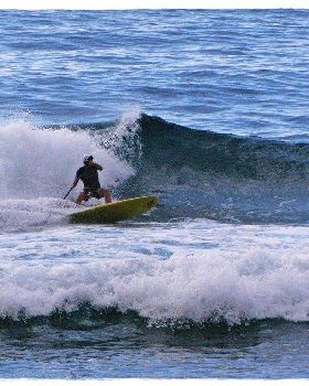 Tues Sharkies 040