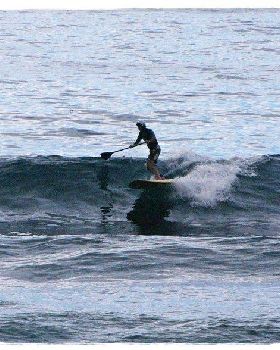 Tues Sharkies 059
