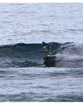 Tues Sharkies 060