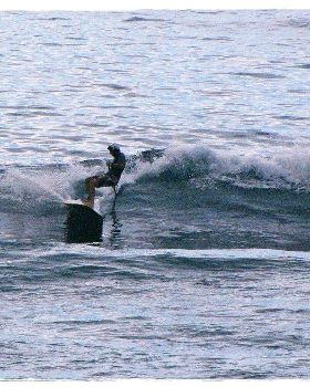 Tues Sharkies 062