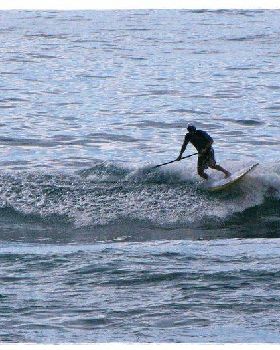 Tues Sharkies 064