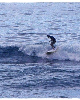 Tues Sharkies 066