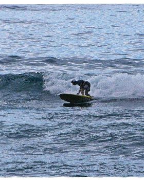 Tues Sharkies 068