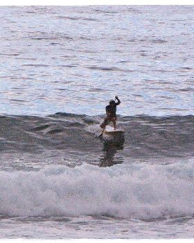 Tues Sharkies 071