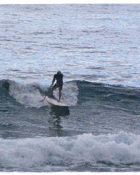 Tues Sharkies 074