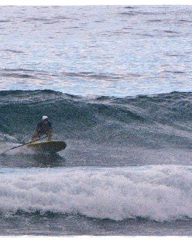 Tues Sharkies 077