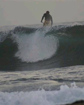 DSC02187 (Small)