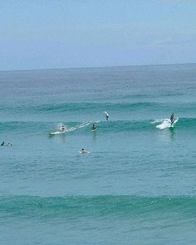 Stand Up Paddle