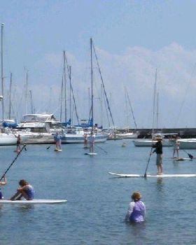 Demo paddle