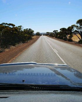 South trip