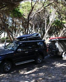 south trip