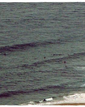 Thirroul 011