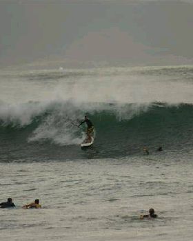 DSC01786 (Small)