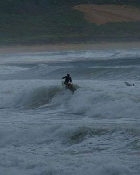 DSC01849 (Small)