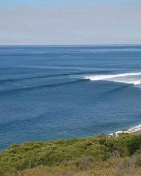 JARROD 040 (Small)