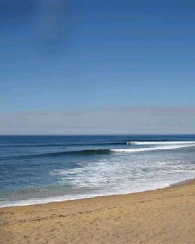 JARROD 032 (Small)
