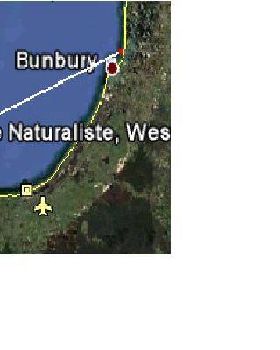 Cape Naturalist